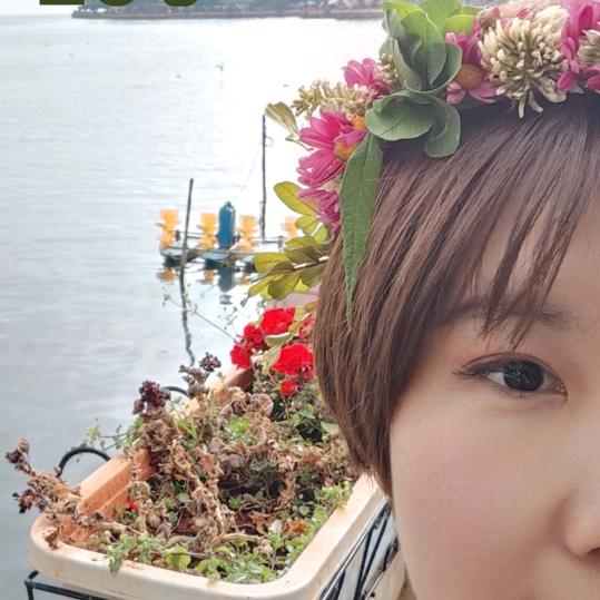 阿桐木👧🏻