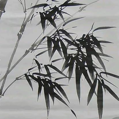 爱吃中医药酒的邵栾头像