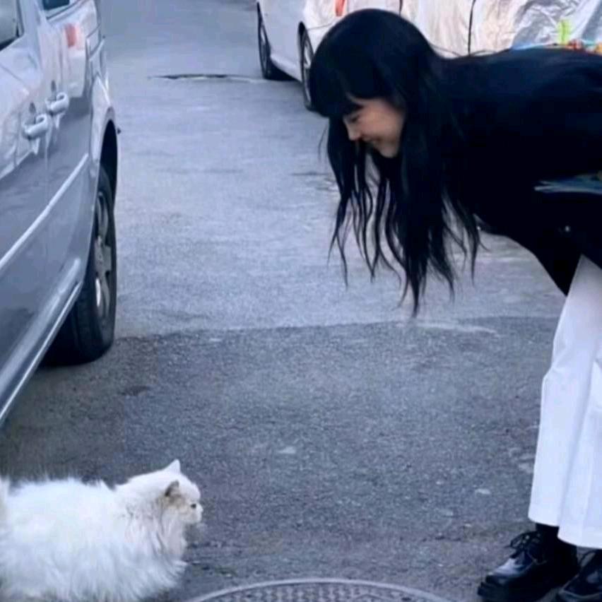 烦人精🍼