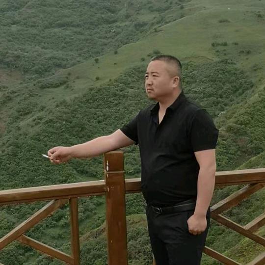 石头很懒