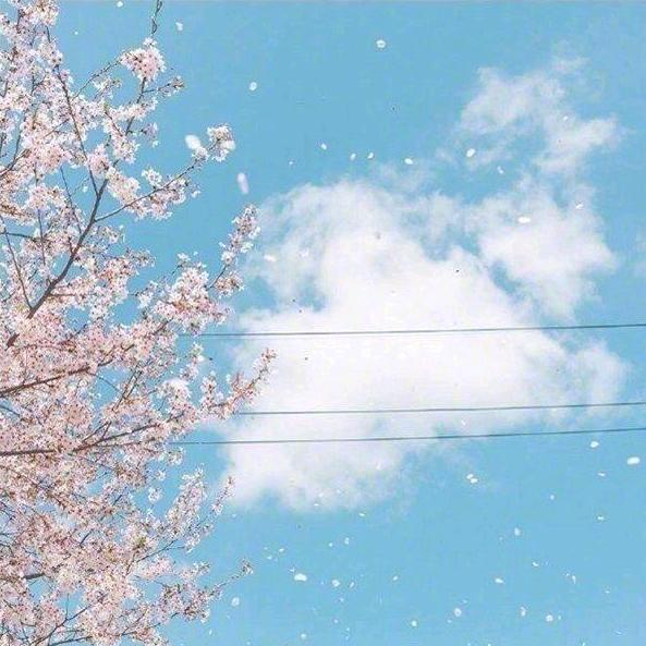 ﾉ☀ﾉ☀ﾉ☀