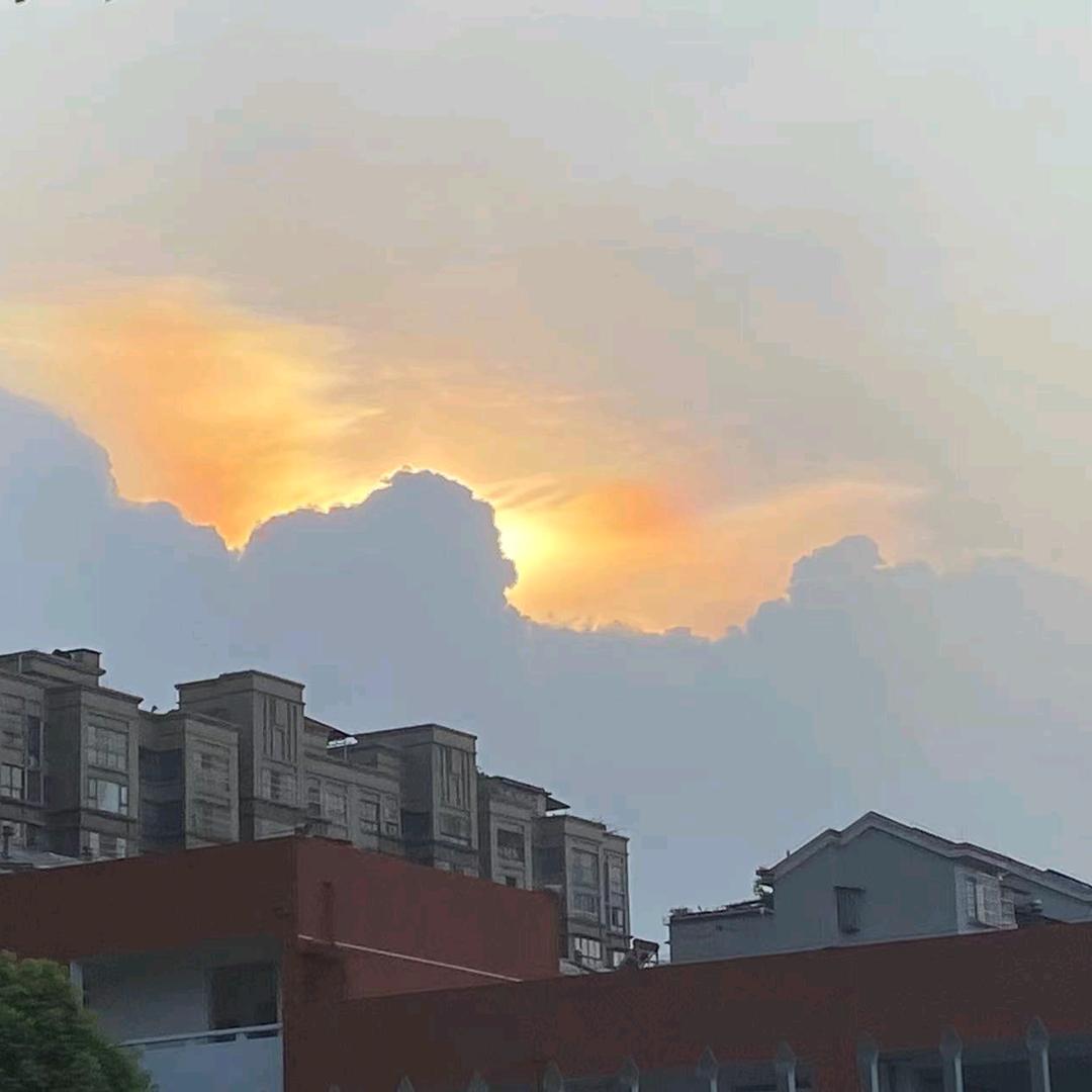 艾草电热蚊香液