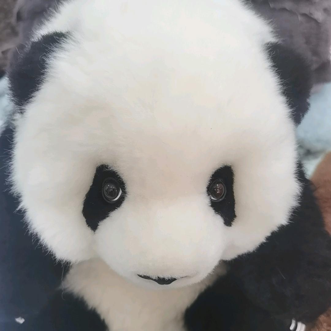 遇 见