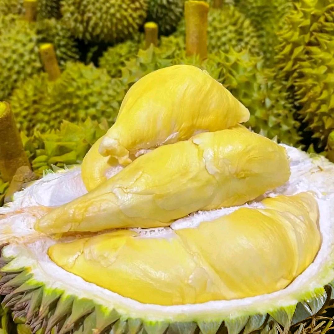 小胖墩爱吃水果