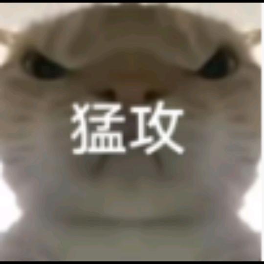 三角洲嘟嘟