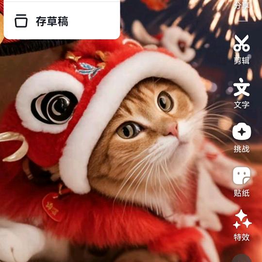 金猪🐈与咪咪🐈