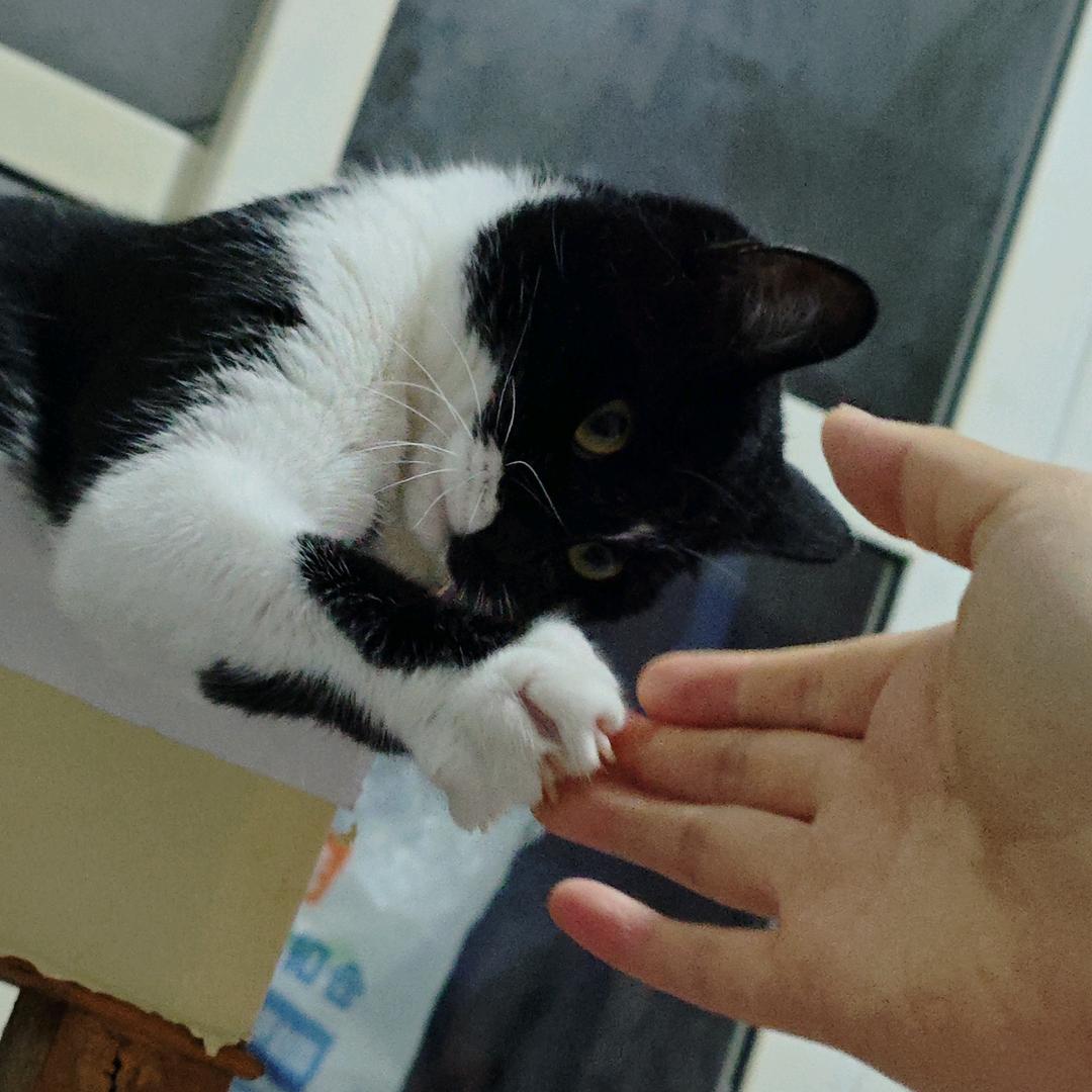 满口胡周同学