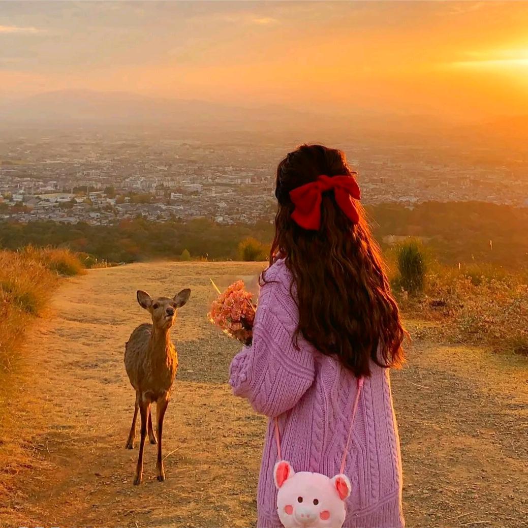 花坚强（记录生活）✌️