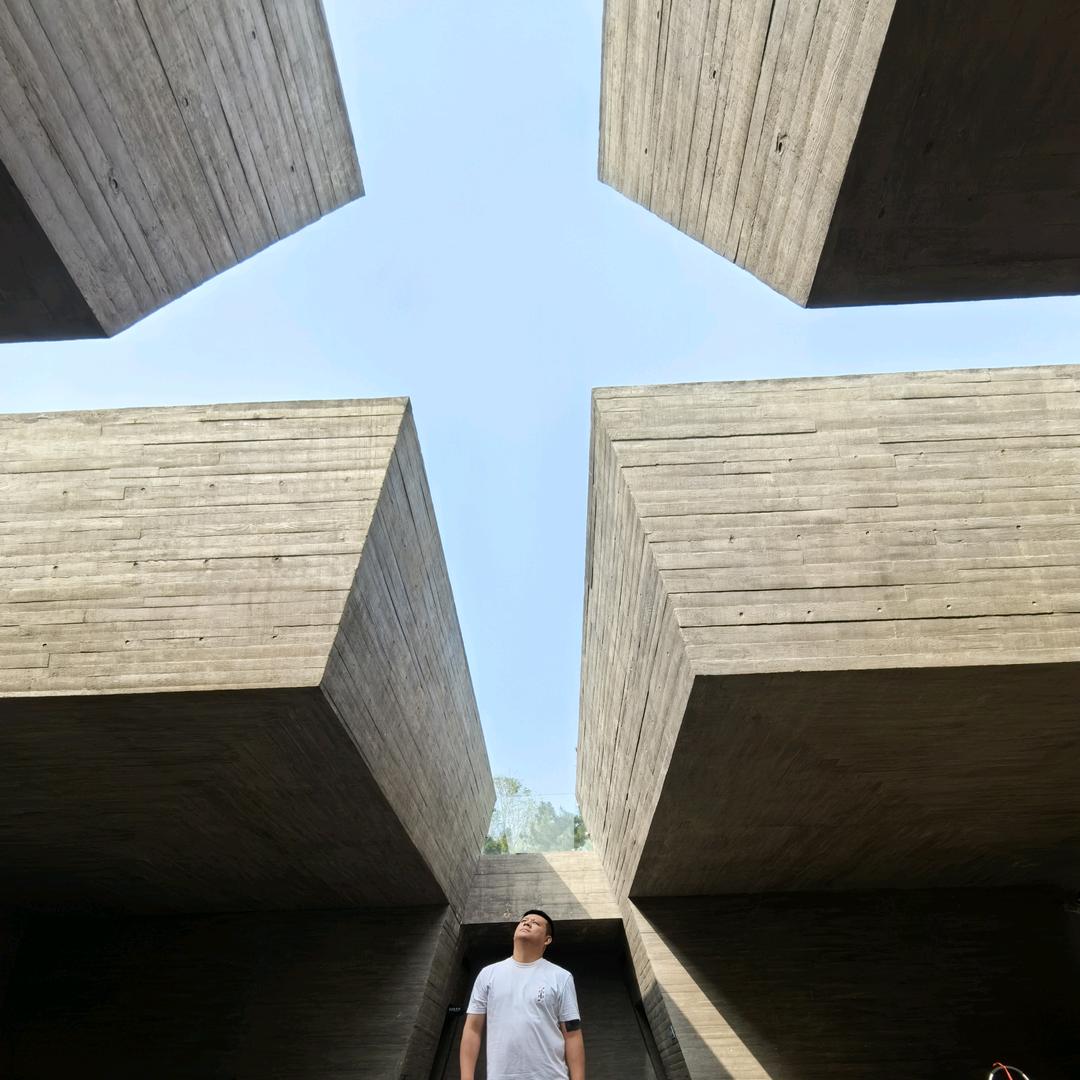D. D