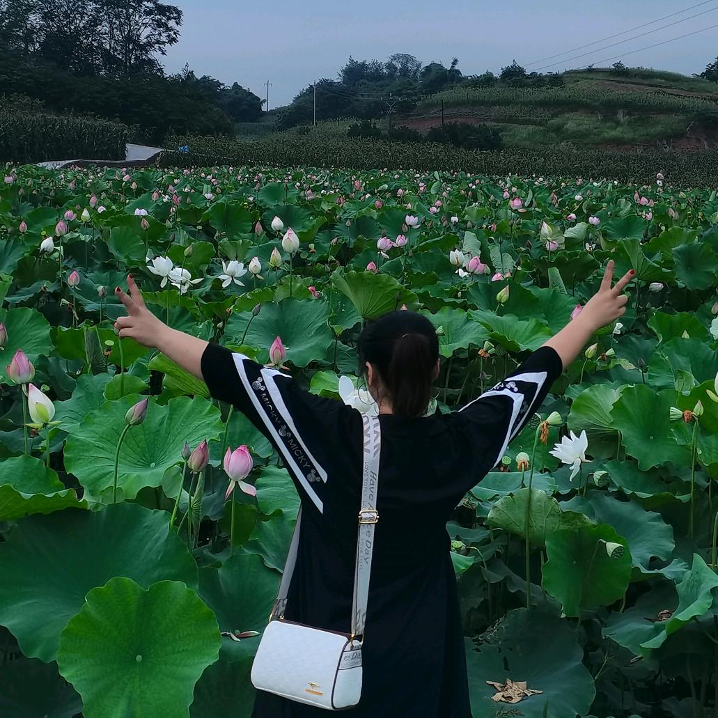 林玲🤟