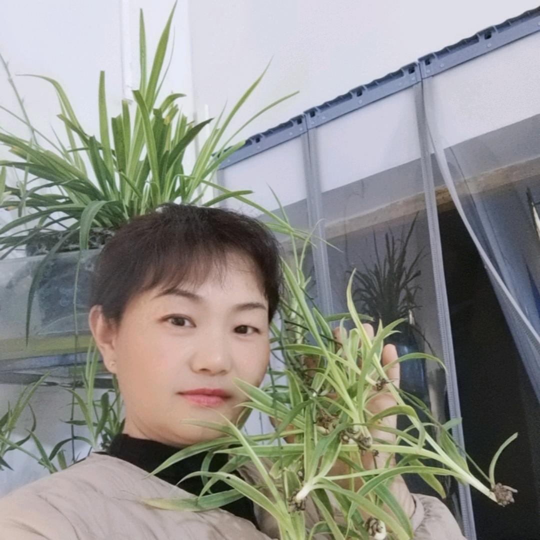 记忆