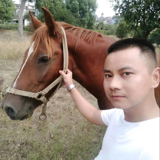 靖斯汽车行
