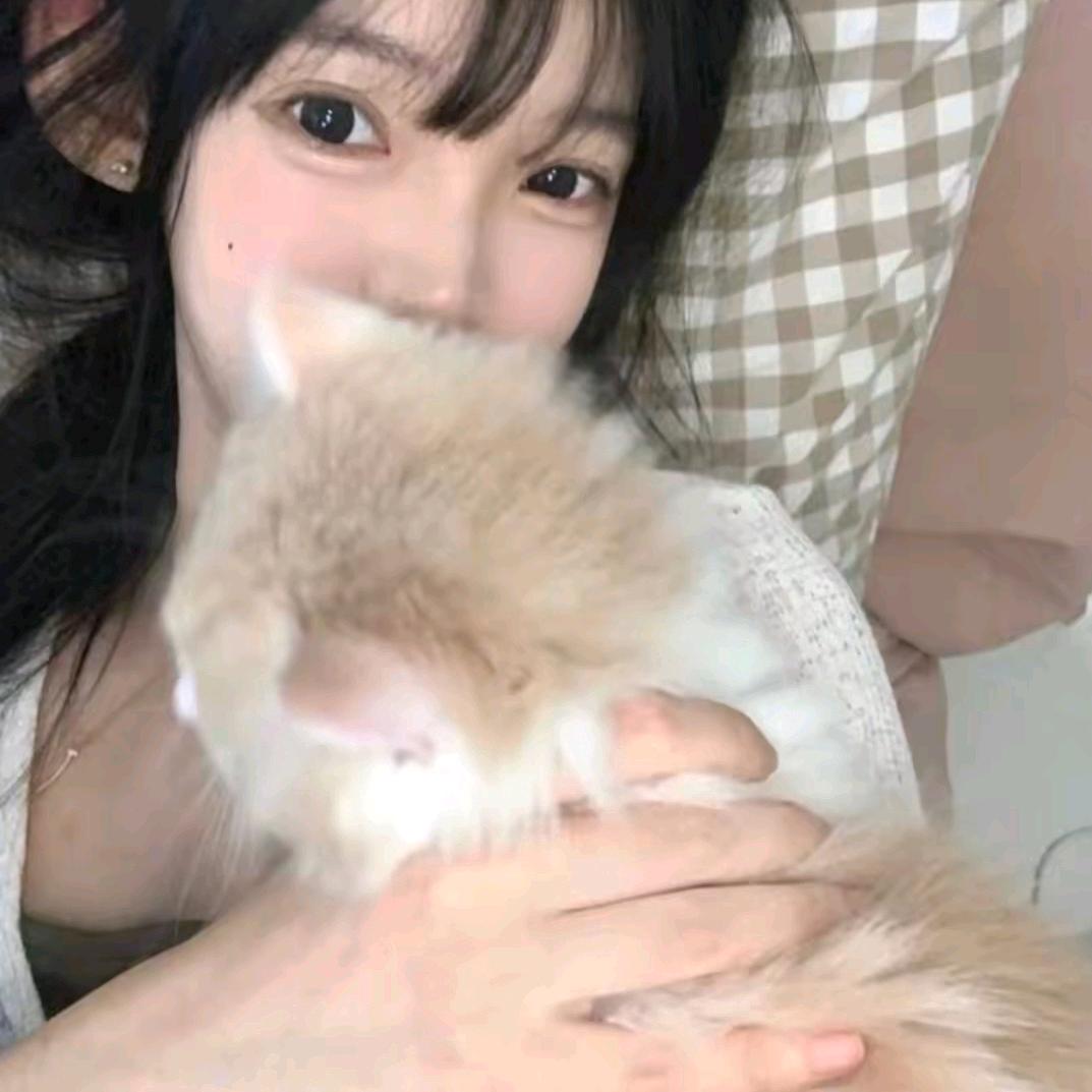 哒哒兔
