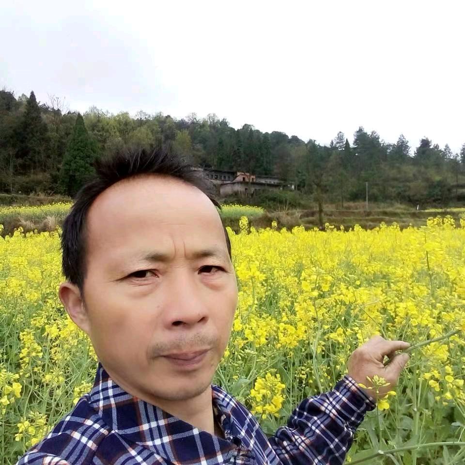 侠奖李哥
