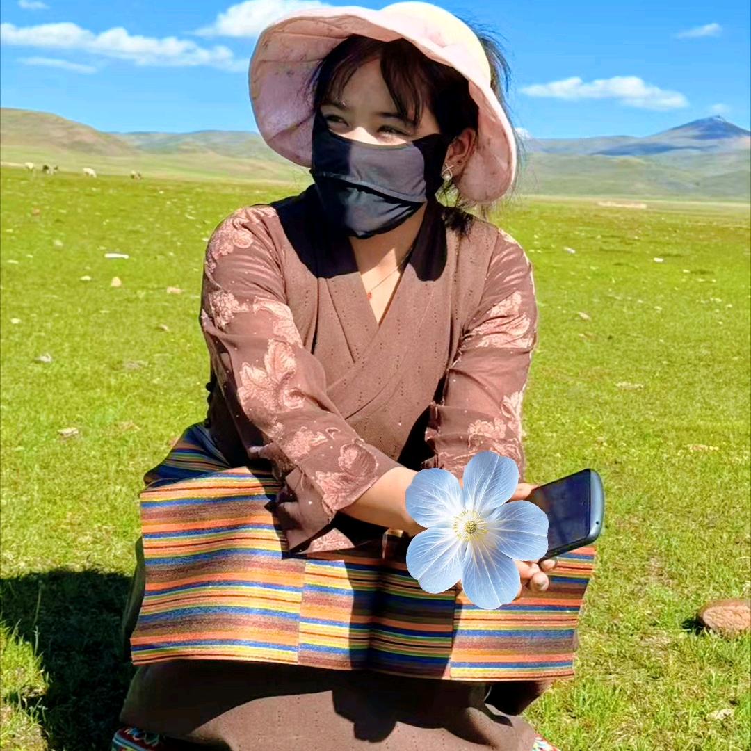 🍁无人问归途💔