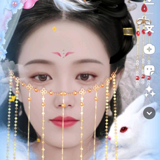 蕾