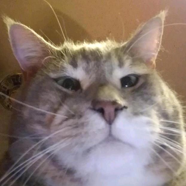 土豆门信徒（高p版