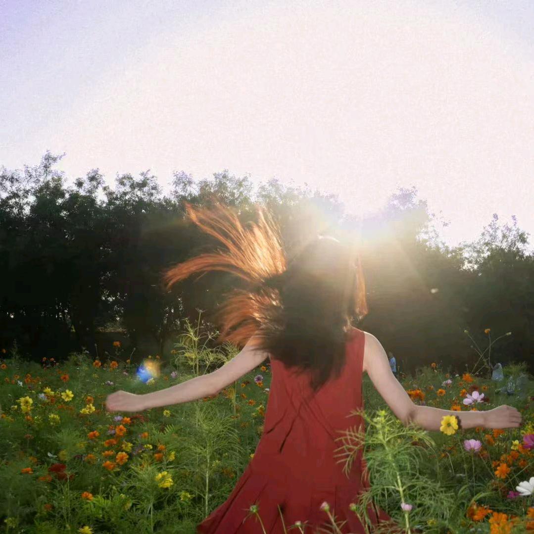 吃屋安川（养成版）