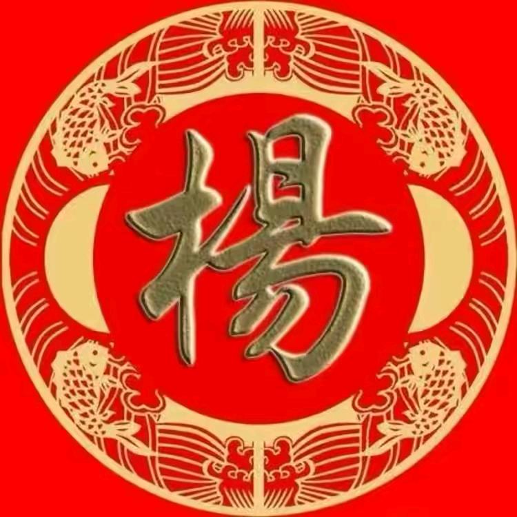 自由飞翔的鹰