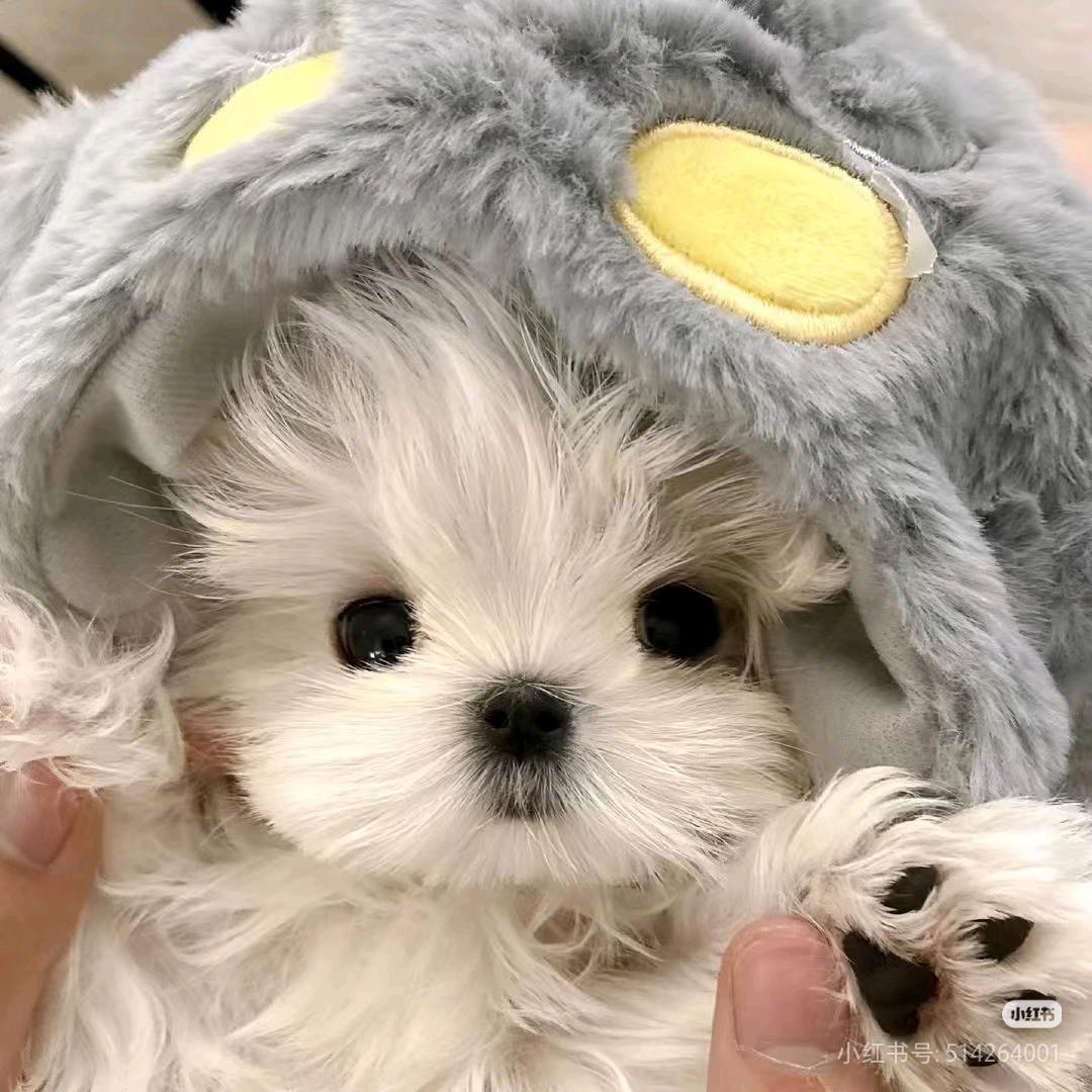 star⭐