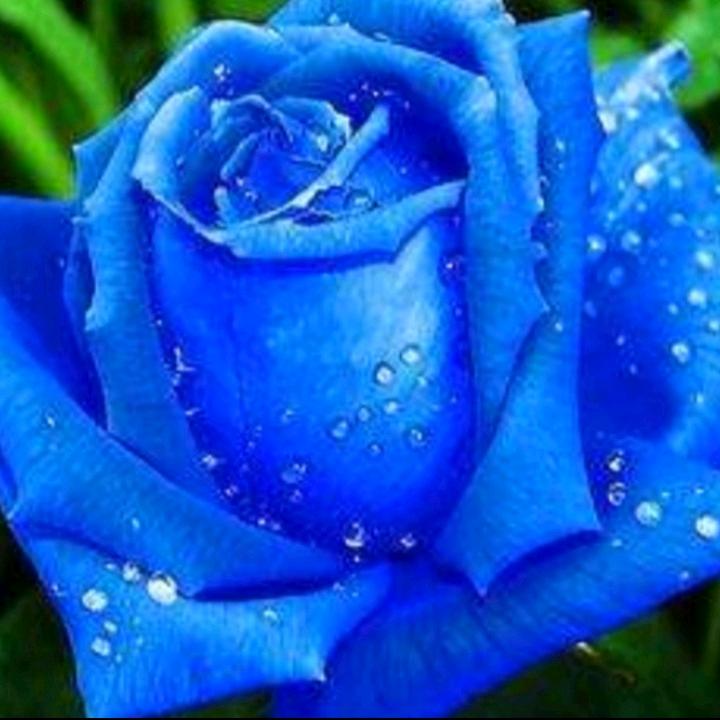 💞琳菲💕