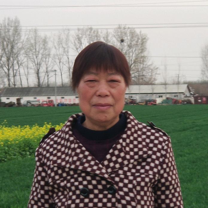 农村李姐（下午3:20开播）