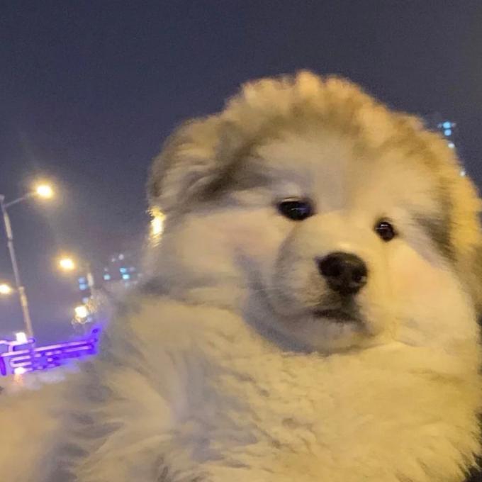 坦克儿♥