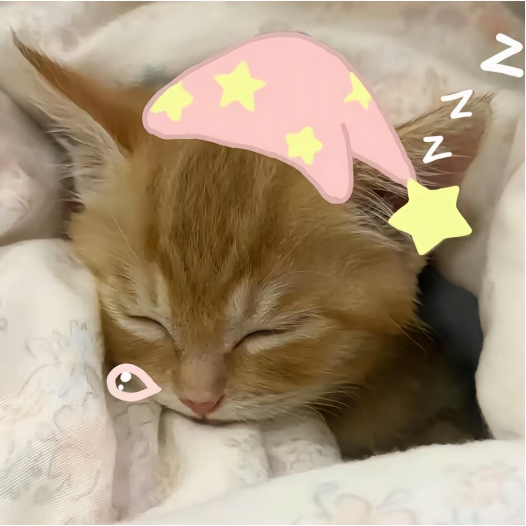 ·½