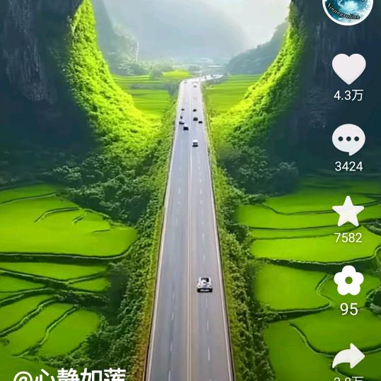 苦涩的回忆