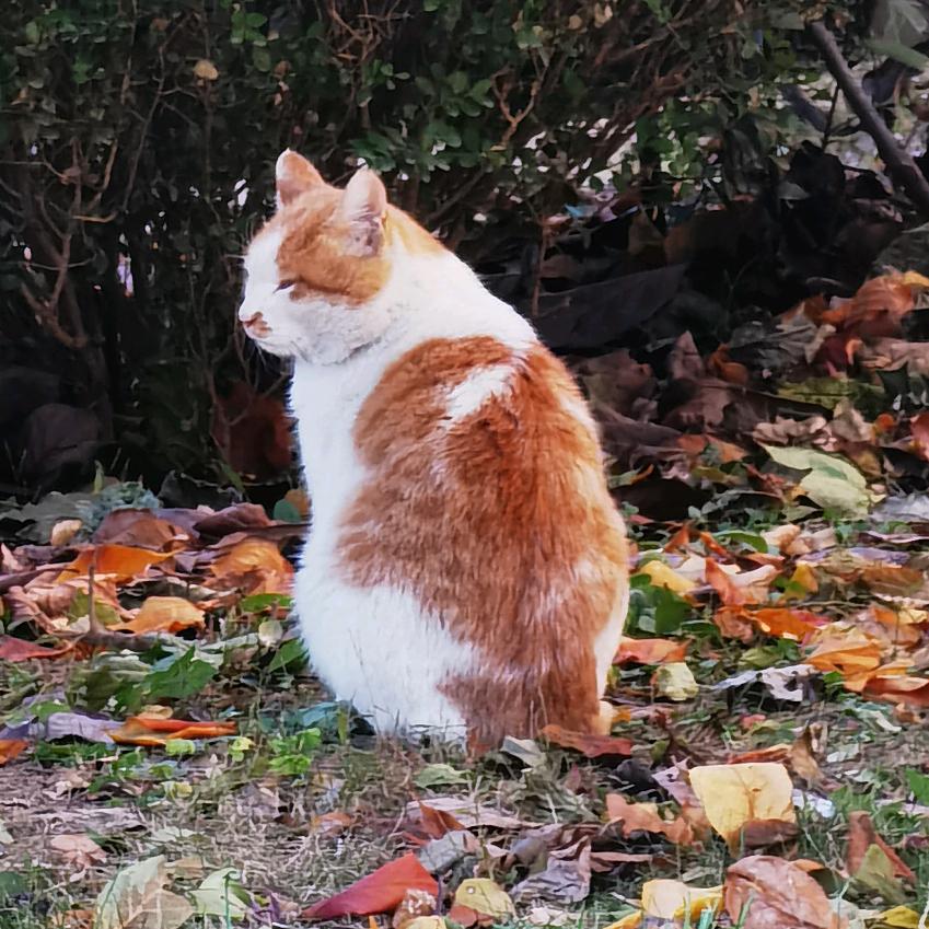 上善若水🍃