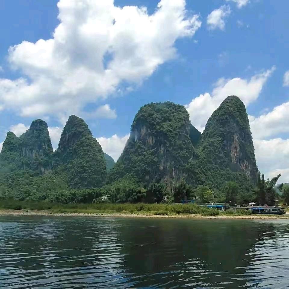 杨梅土气