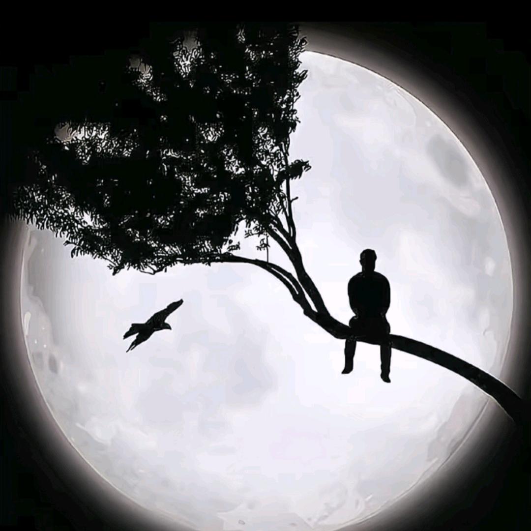 一介俗人ꫀꪝ.