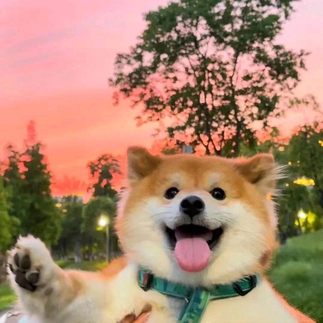 make me happy