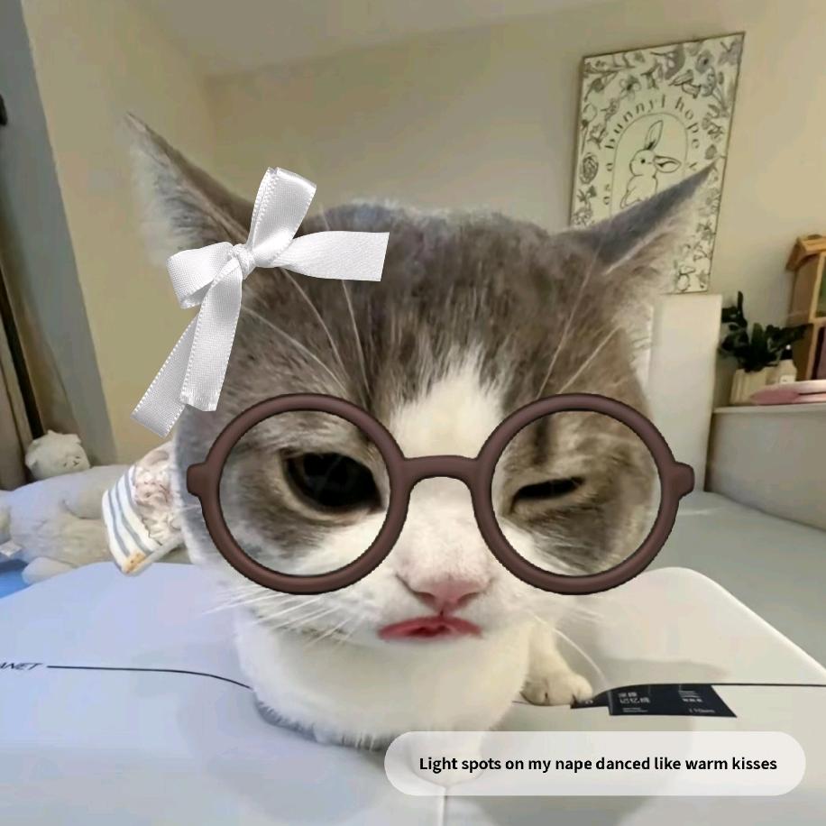 耀总想要建模脸