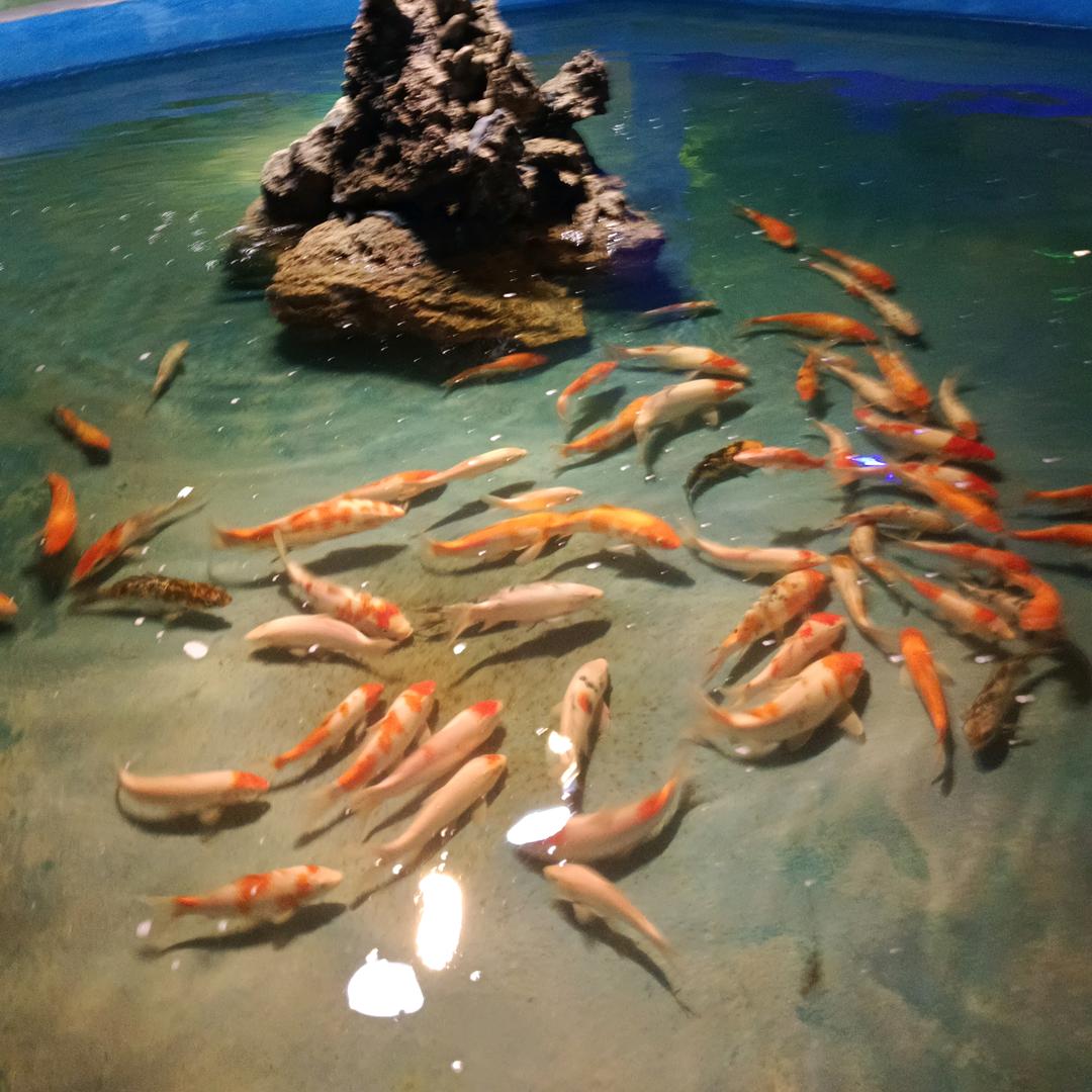 粉钻