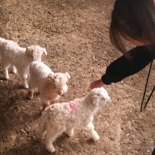 (｡･ω懂得珍惜才拥･｡)ﾉ♡