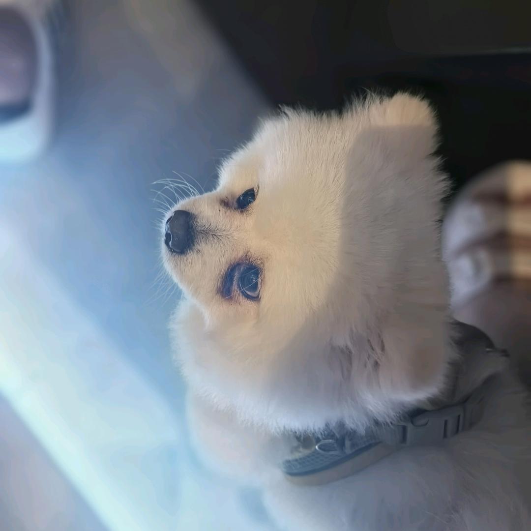 福华一生推