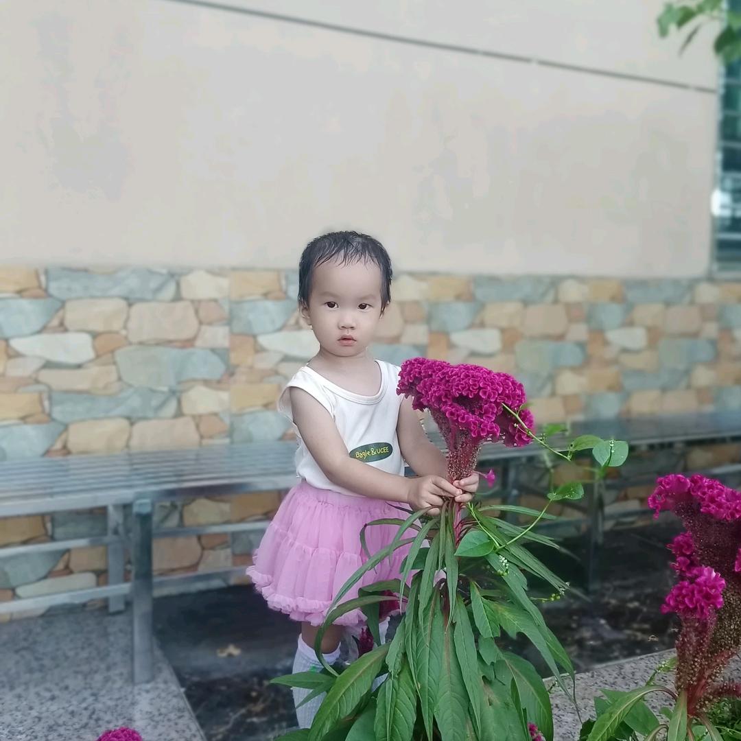 执着橱窗好物分享