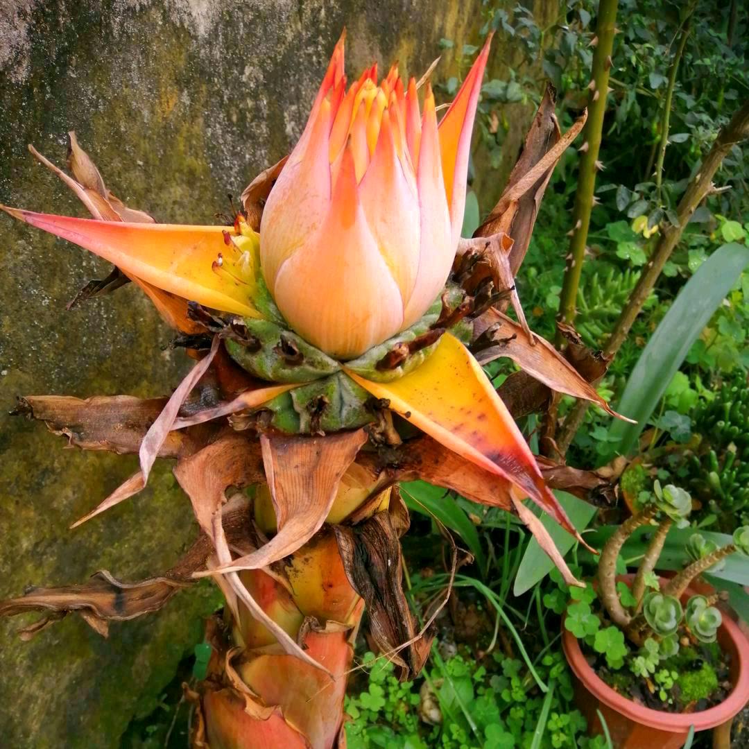 开心快乐每一天