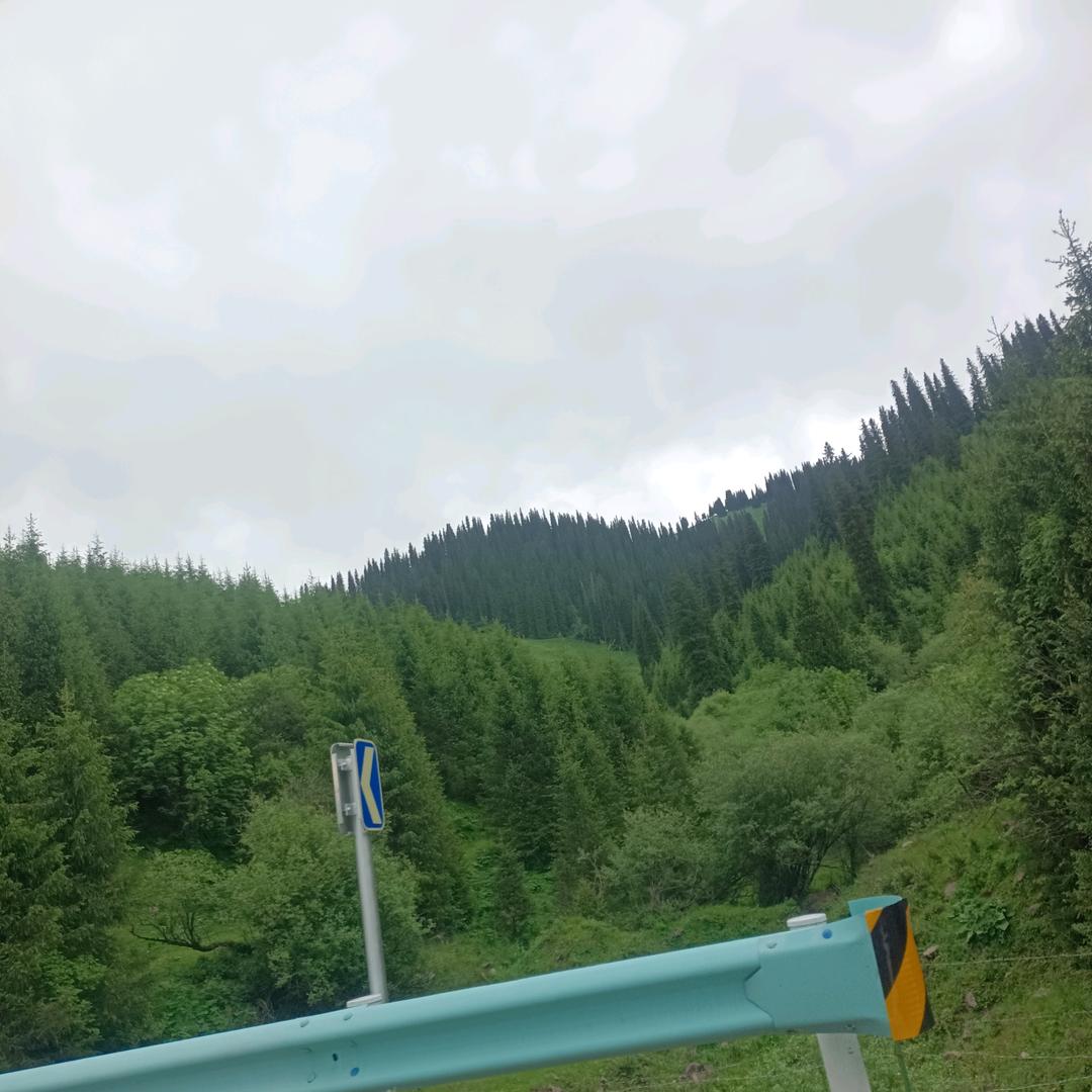你真，我珍。