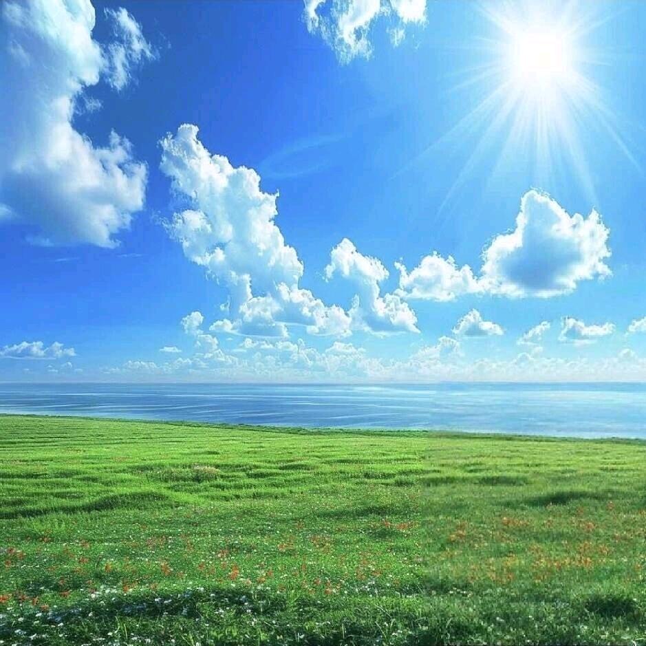 人生若只如初見