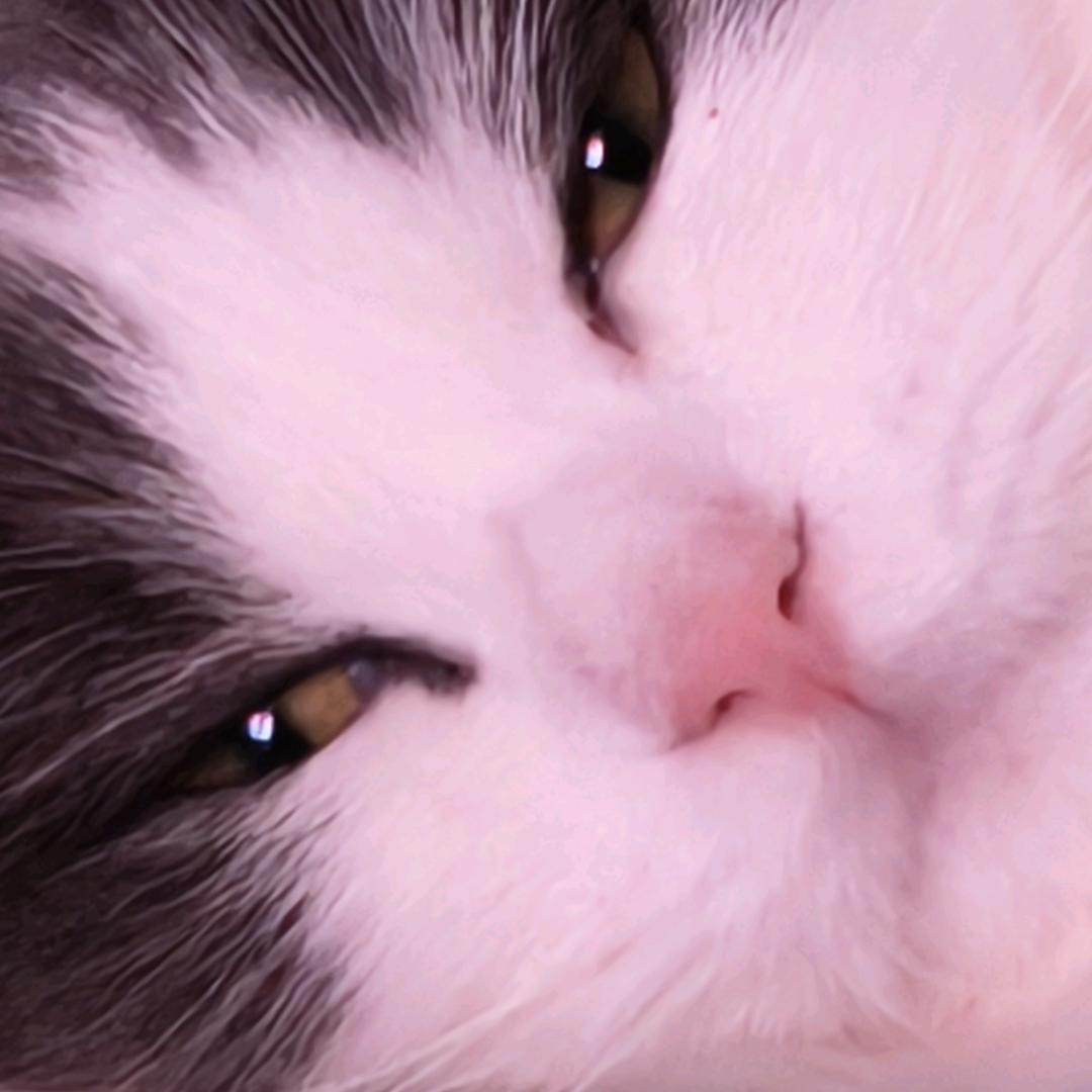 千仟