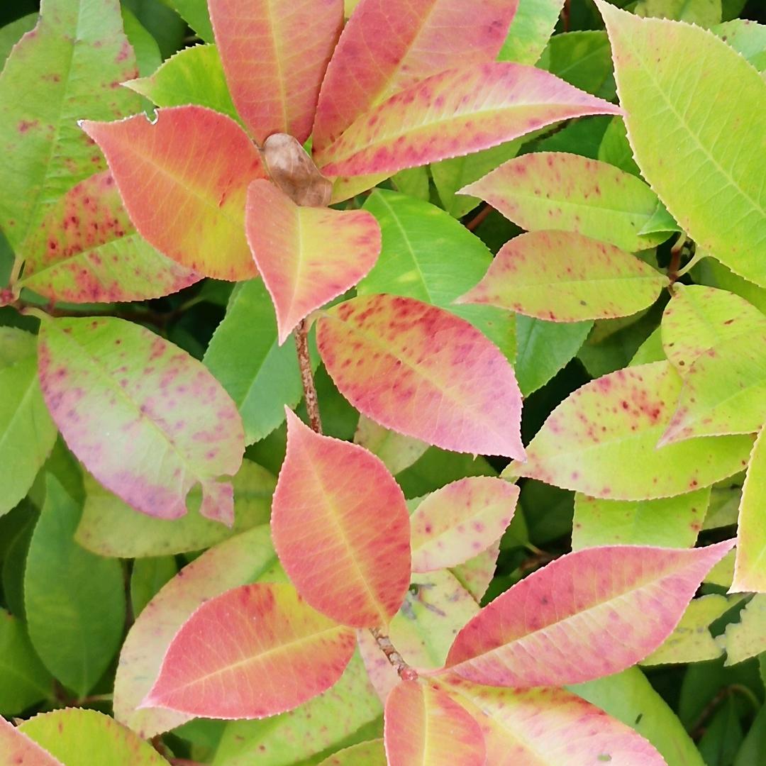 随风、随缘、随遇而安！！！