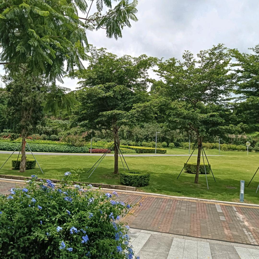 @@大别山杨@@