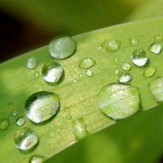 🎶心灵感🎶