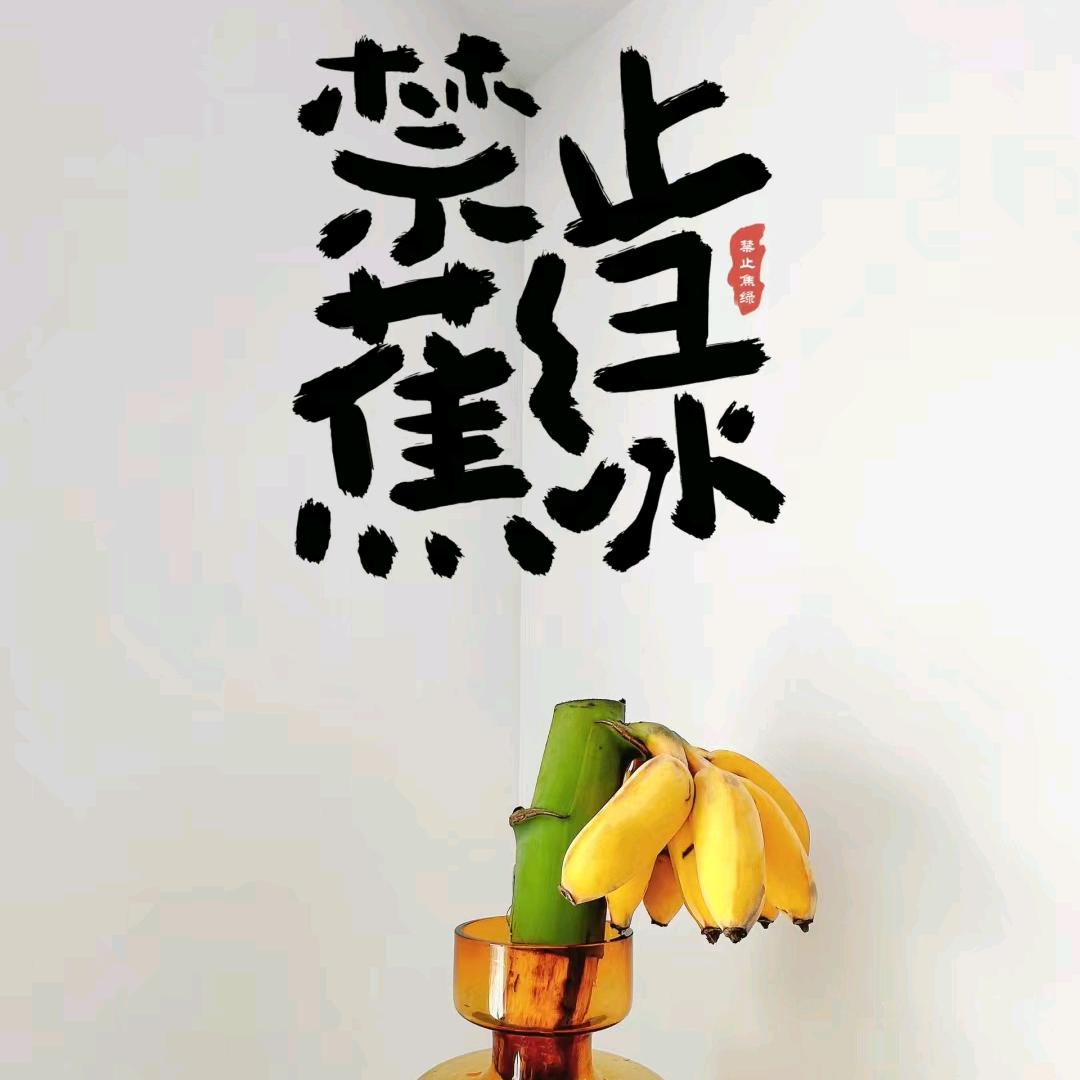 🌈阿睿在成长