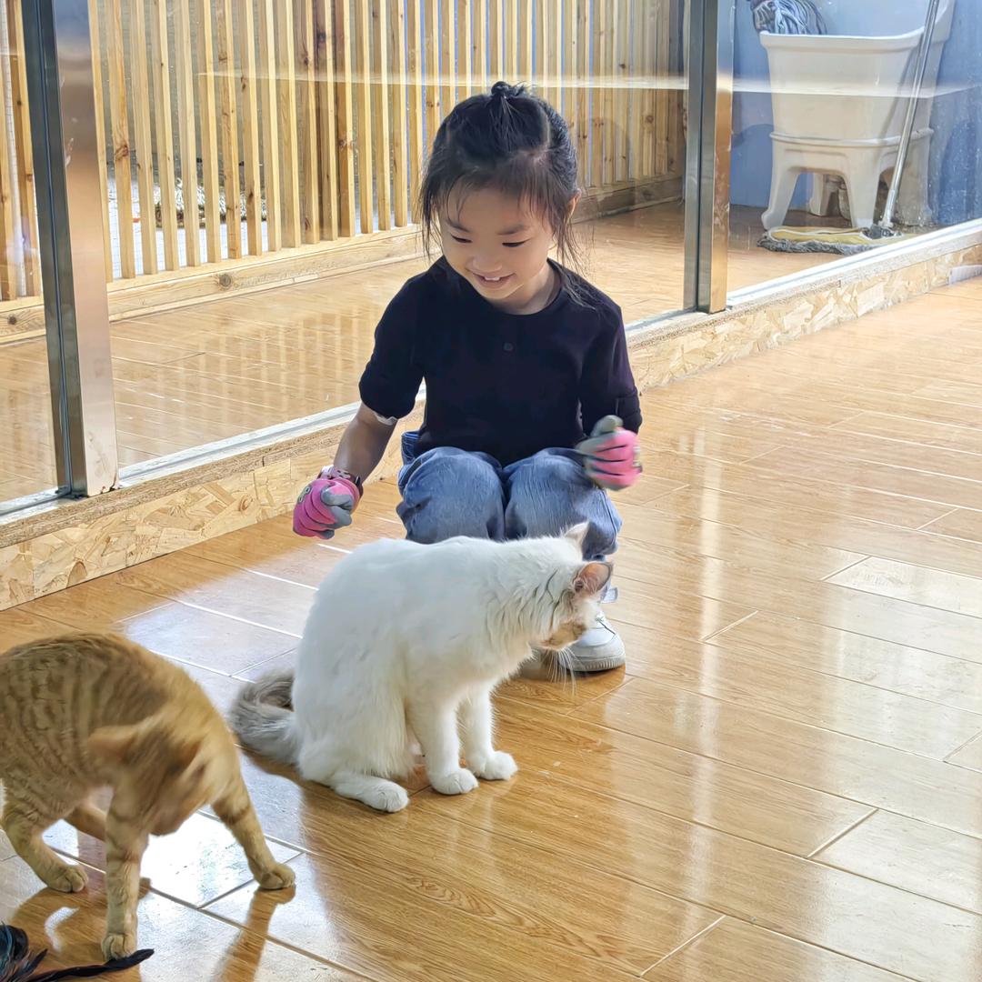 （我是王家女儿）拒绝私聊