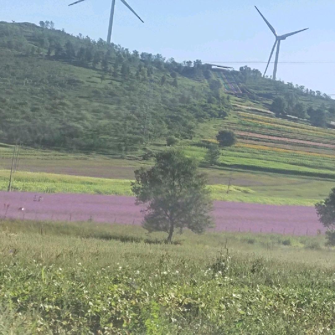 沉默是金，