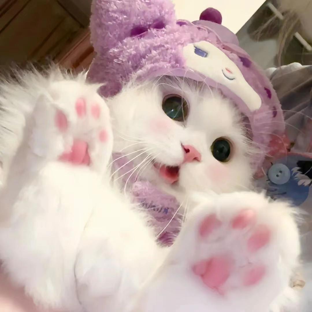 yoyo～