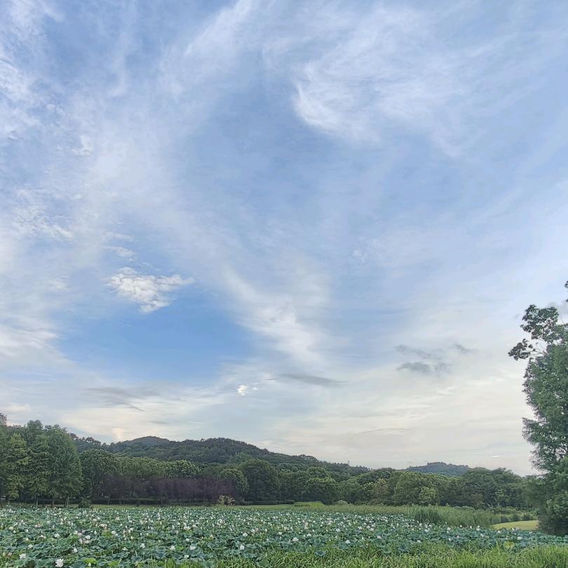 用户11451999